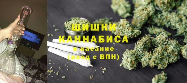 ГАЛЛЮЦИНОГЕННЫЕ ГРИБЫ Белоозёрский