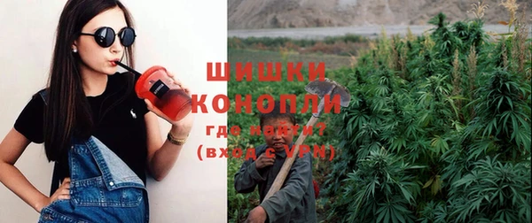 ГАЛЛЮЦИНОГЕННЫЕ ГРИБЫ Белоозёрский