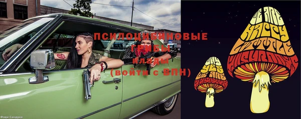 ГАЛЛЮЦИНОГЕННЫЕ ГРИБЫ Белоозёрский